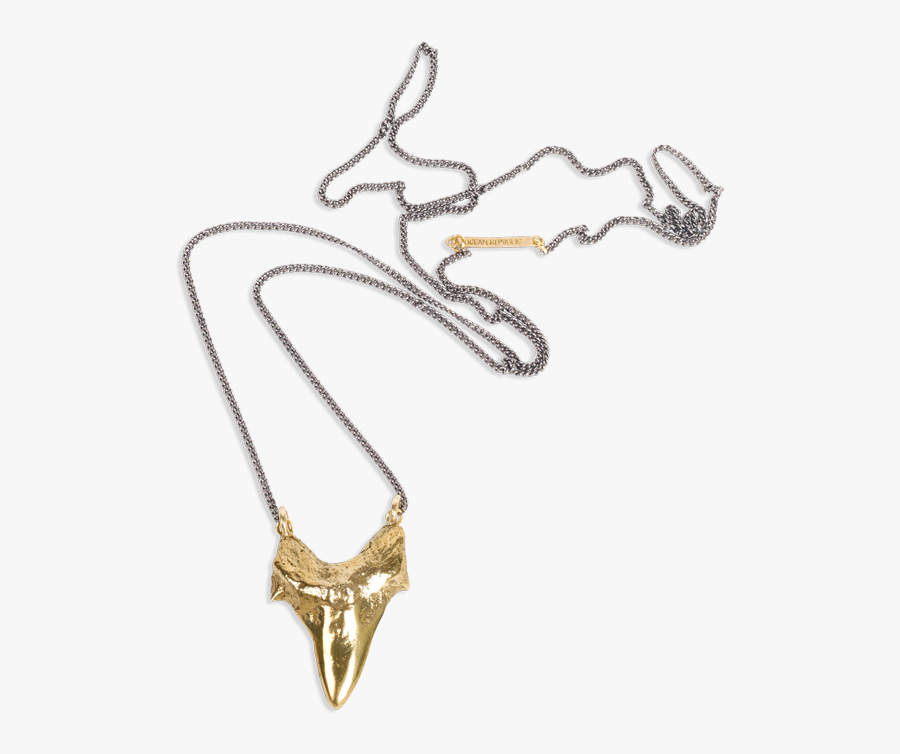 Transparent Shark Teeth Png - Necklace, Transparent Clipart