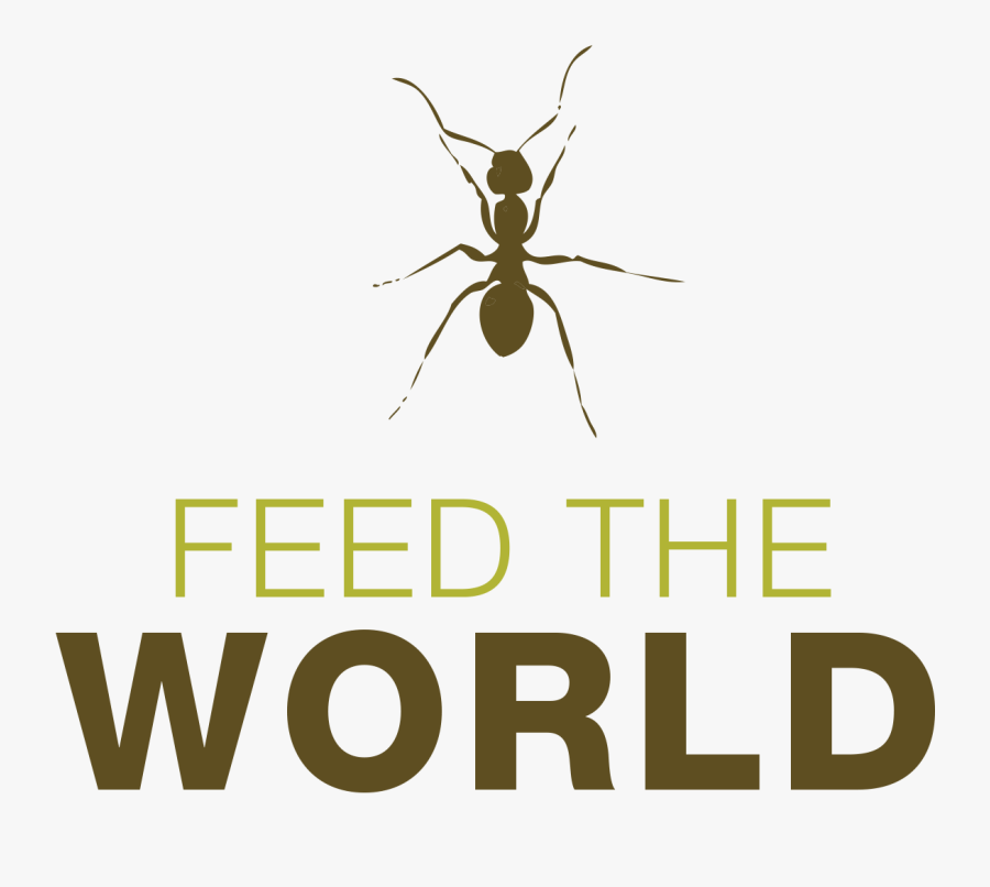 Insects To Feed The Worldhttp - Ant, Transparent Clipart
