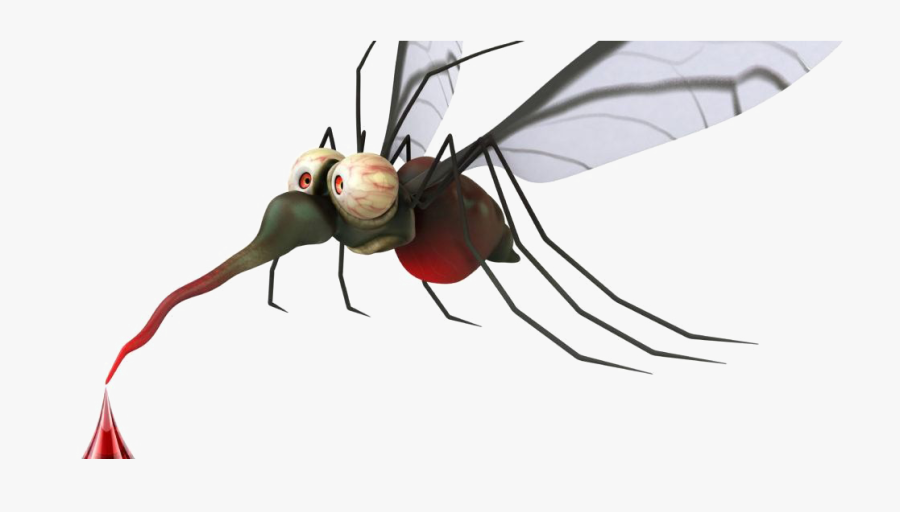 Transparent Mosquito Png - Mosquito Ebola, Transparent Clipart