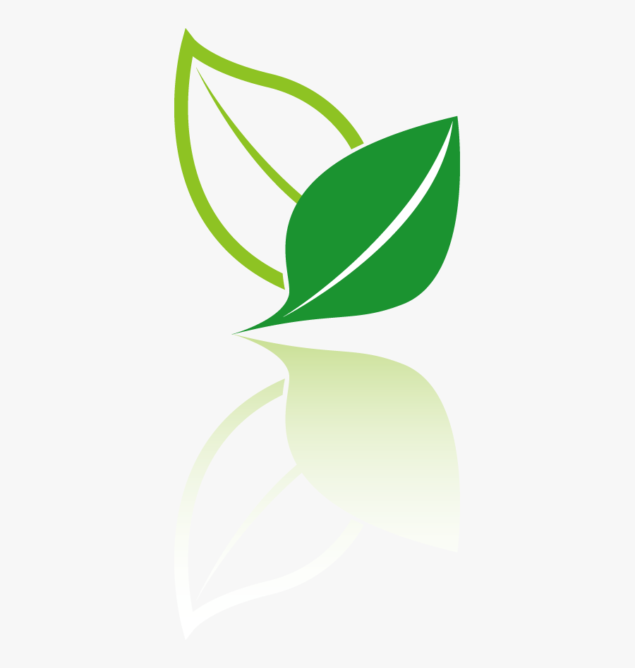 Tea Leaf Vector Png , Free Transparent Clipart ClipartKey