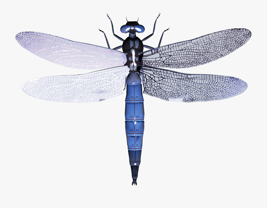 Dragonfly Png Image - Dragon Fly With Transparent Background, Transparent Clipart