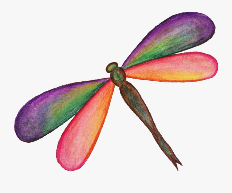 Download Dragonfly Png Hd - Dragonfly Png, Transparent Clipart