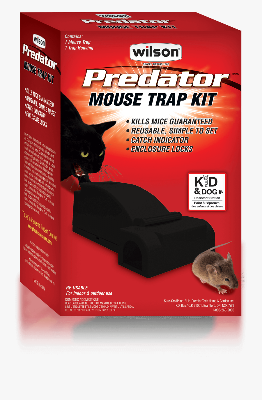 Transparent Mouse Animal Png - Domestic Short-haired Cat, Transparent Clipart