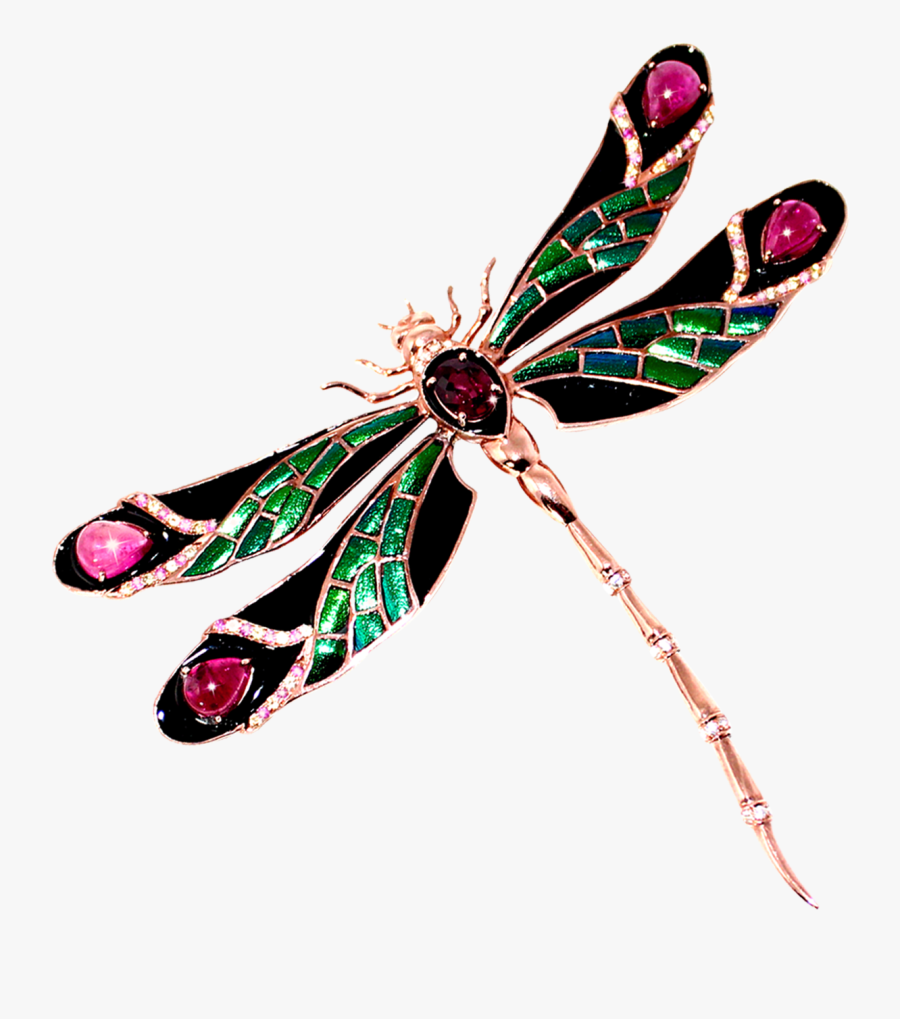 Transparent Dragonfly Wings Png - Net-winged Insects, Transparent Clipart