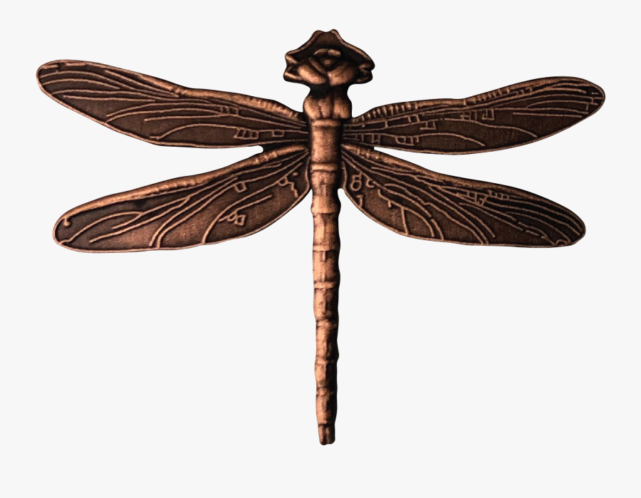 Hawker Dragonflies, Transparent Clipart
