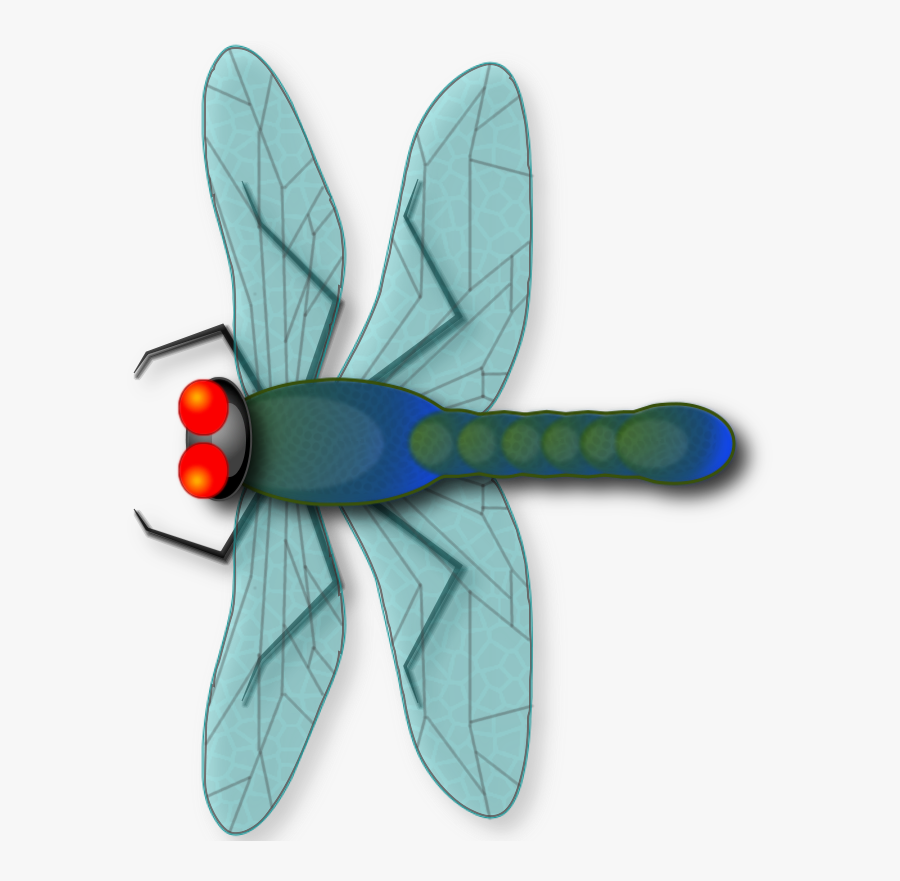 Make Your Own Dragonfly From Scratch *beginners* - Dragonfly, Transparent Clipart