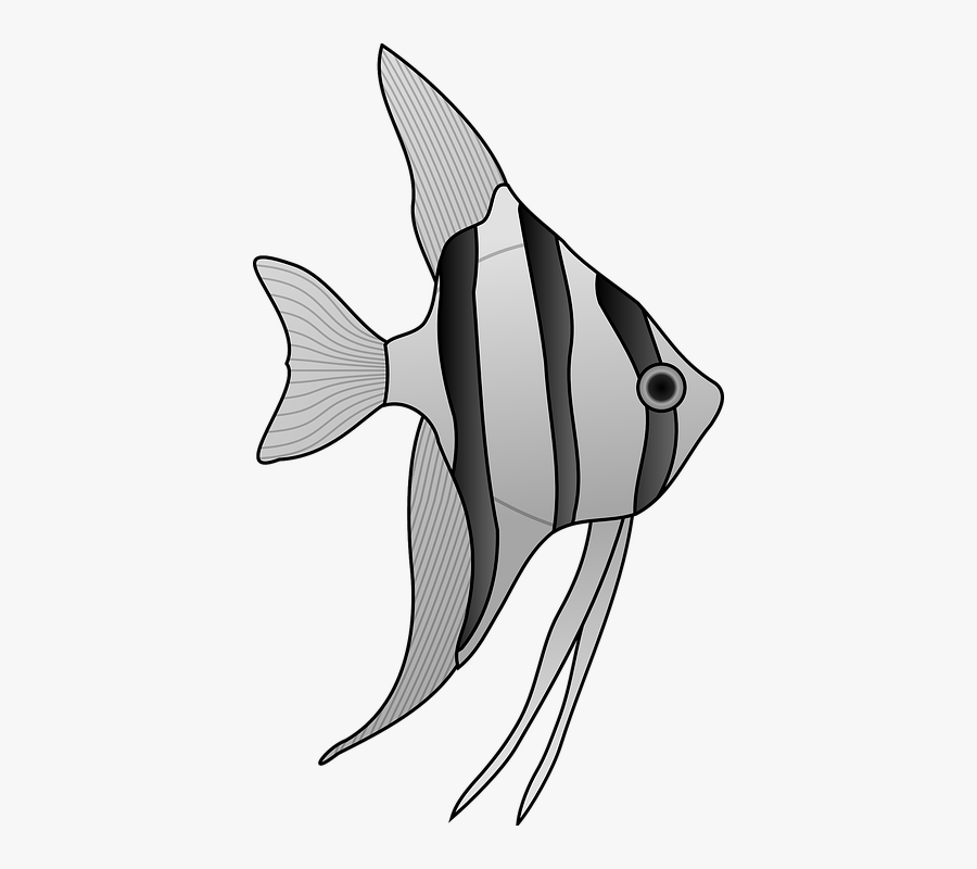 Angelfish Clip Art, Transparent Clipart