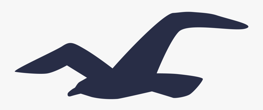 Logo Hollister, Transparent Clipart