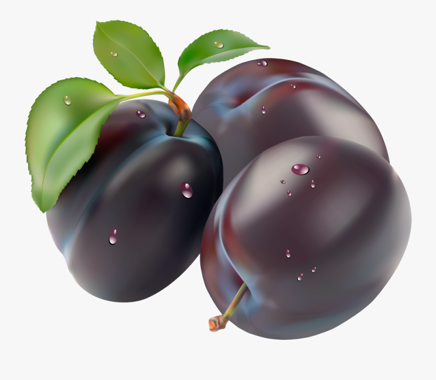 Plum Clipart - Plum Vector, Transparent Clipart