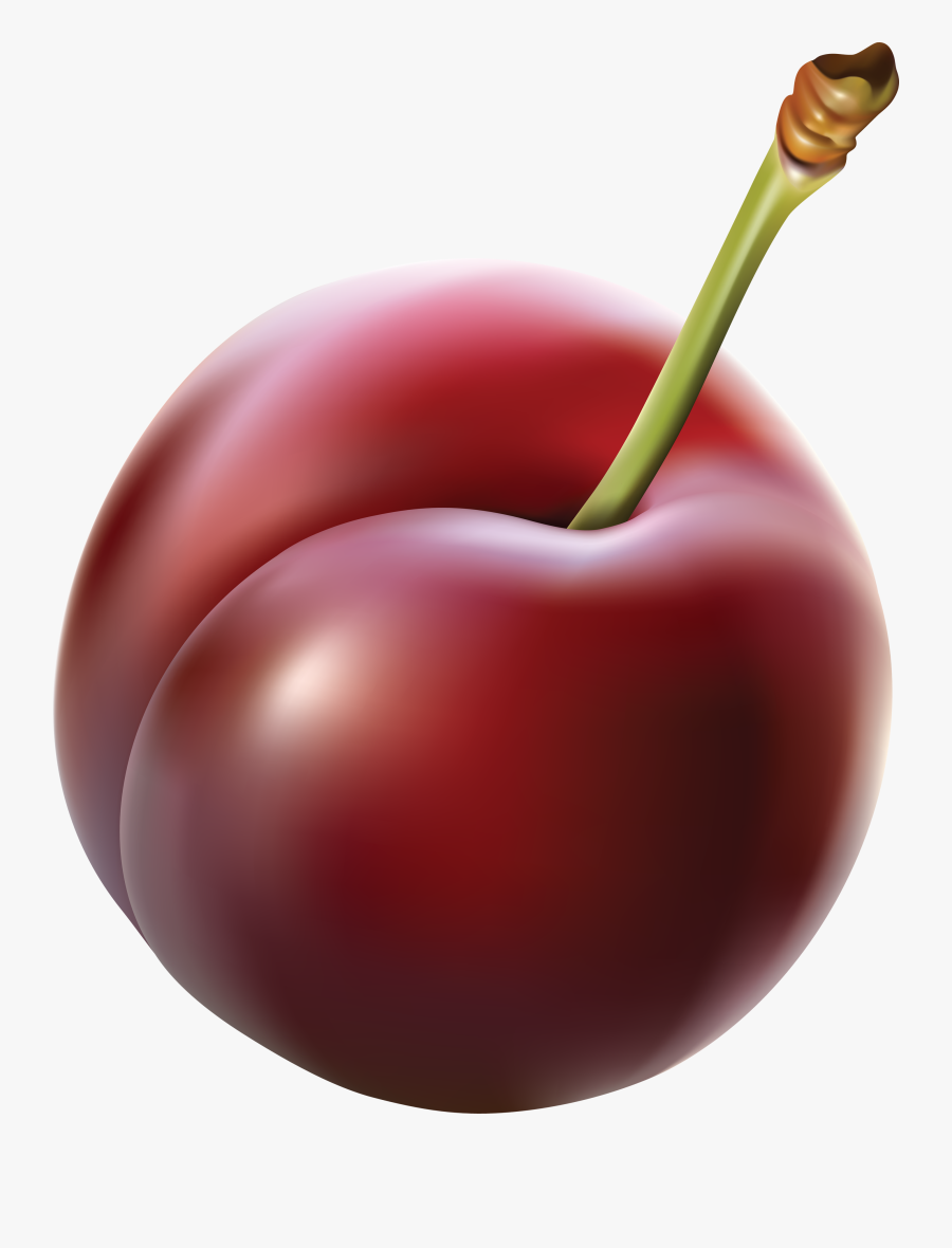 Png Image Purepng Free - Plum Clipart Transparent Background, Transparent Clipart