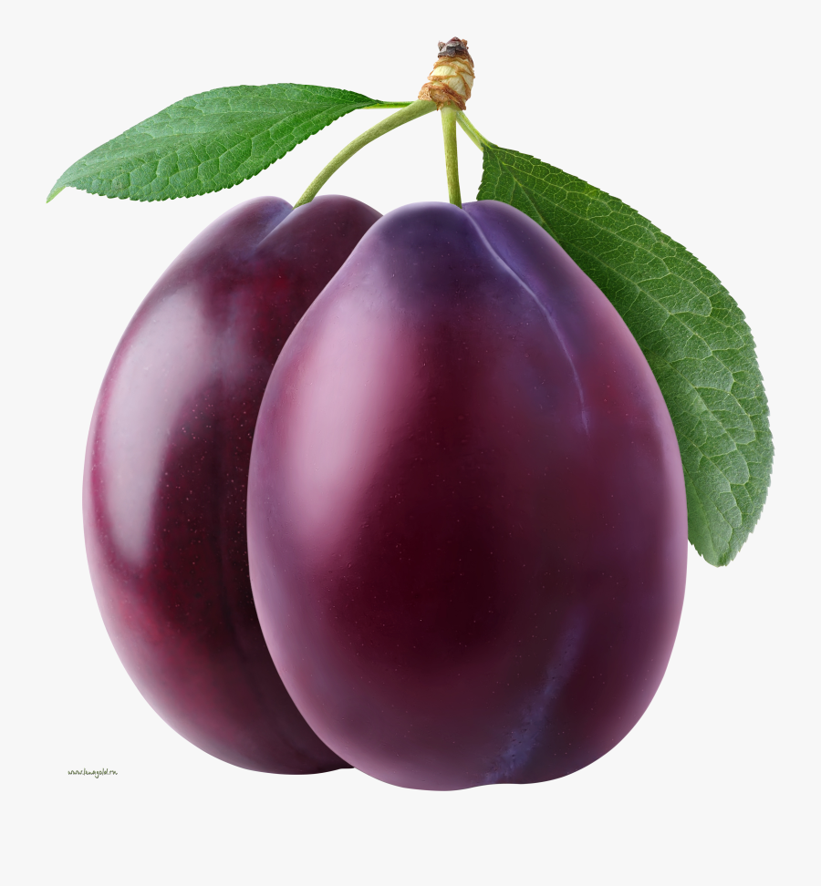 Plum Png, Transparent Clipart