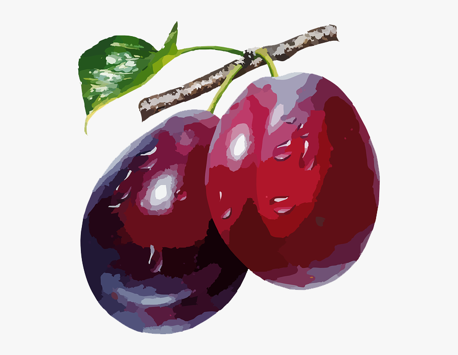 Transparent Plum Png - Plums Png, Transparent Clipart