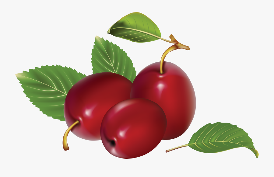 Plums Png, Transparent Clipart