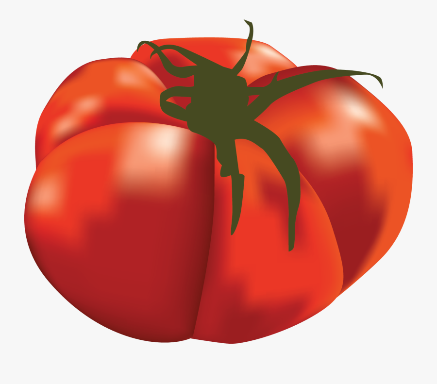Popular Guide Part Steemit - Plum Tomato, Transparent Clipart