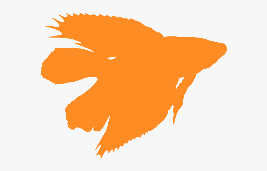 Betta Splendens Double Tail, Transparent Clipart