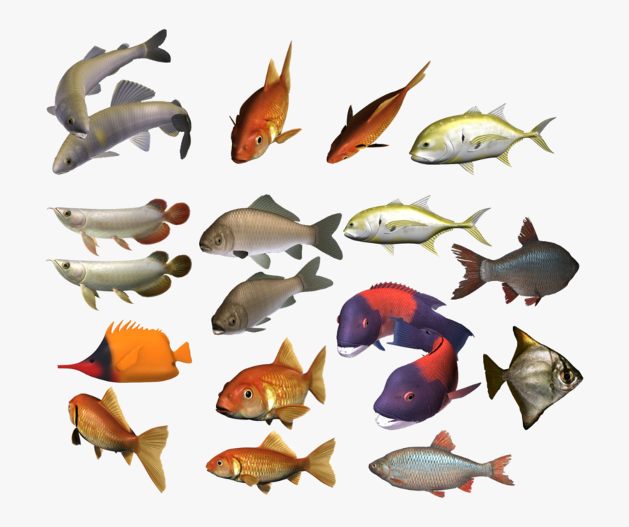 School Of Fish Png, Transparent Clipart