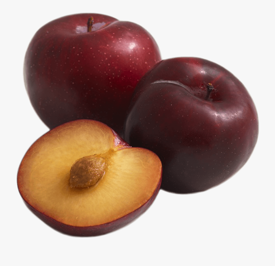 Download-plum - Plum Fruits, Transparent Clipart