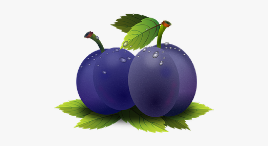 Cliparts Plums Fields - ด รา ฟ ผล ไม้, Transparent Clipart