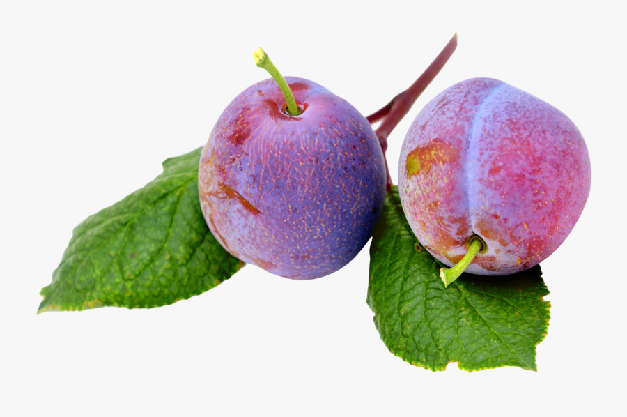 Plum Png, Transparent Clipart