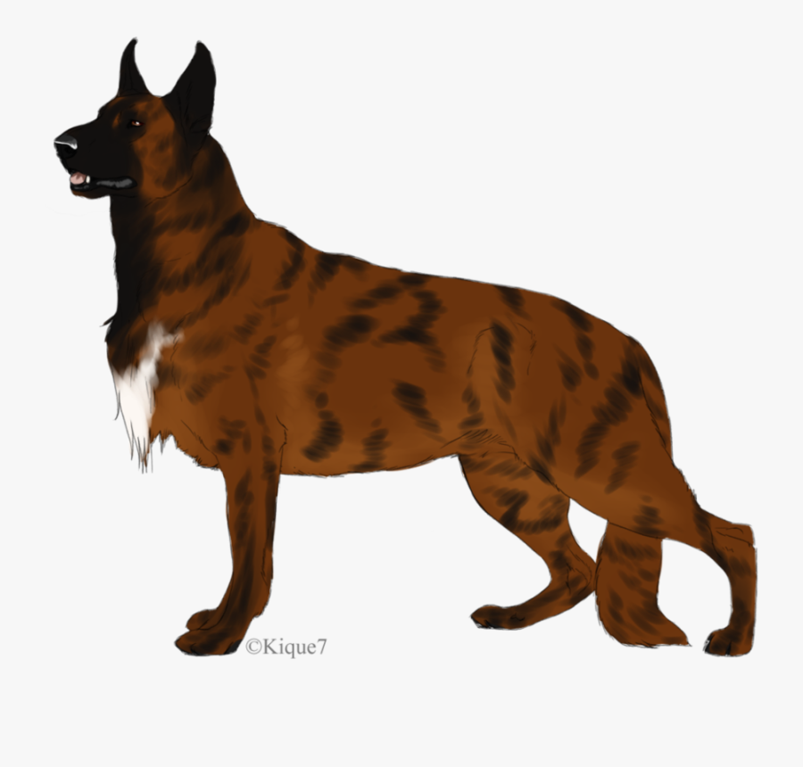 Great Dane, Transparent Clipart