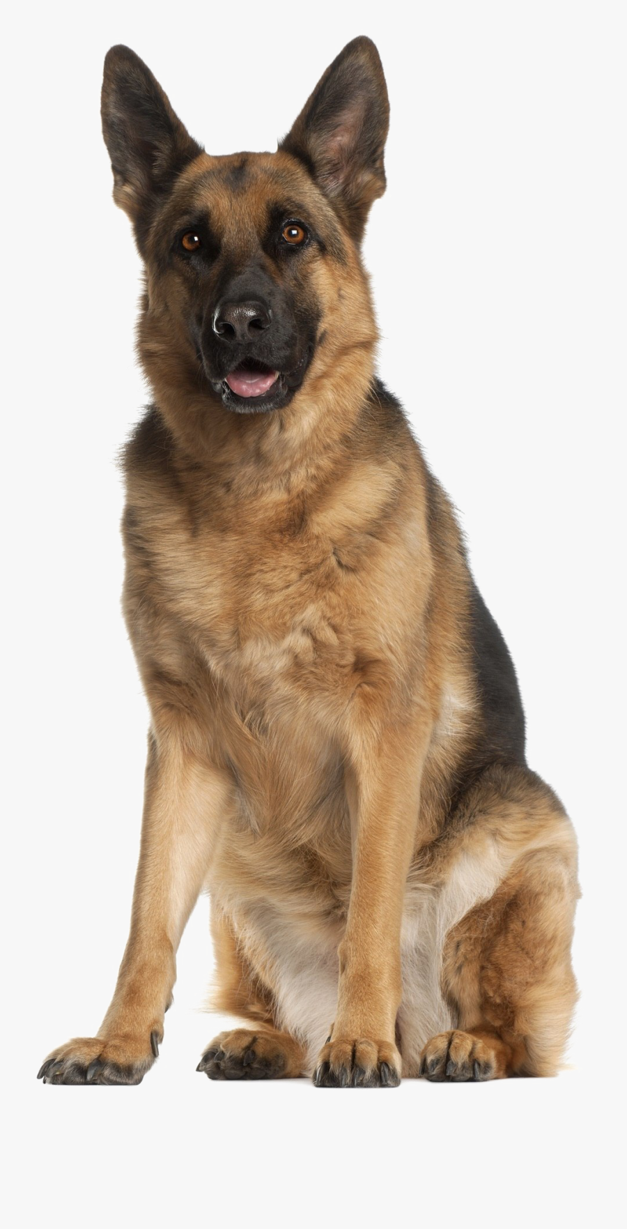 Dog Png German Shepherd - Animals That Walk Or Run, Transparent Clipart