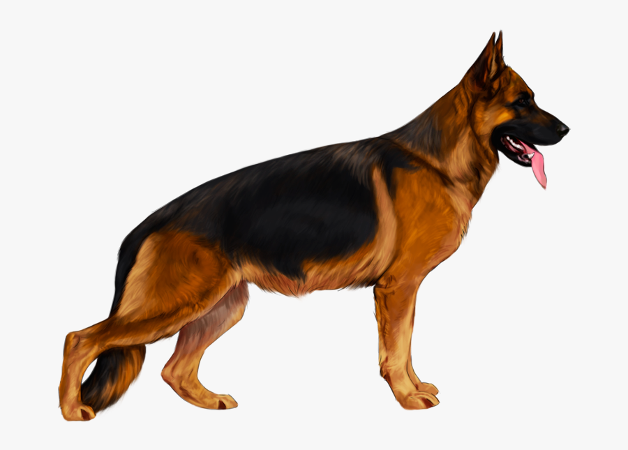 Transparent German Shepherd Png - German Shepherd Dog Png, Transparent Clipart