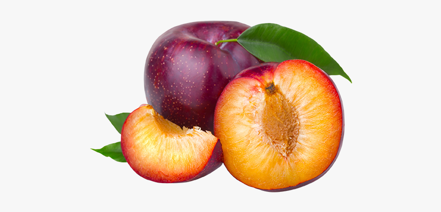 Plum Png Transparent Images - Ameixa In English, Transparent Clipart