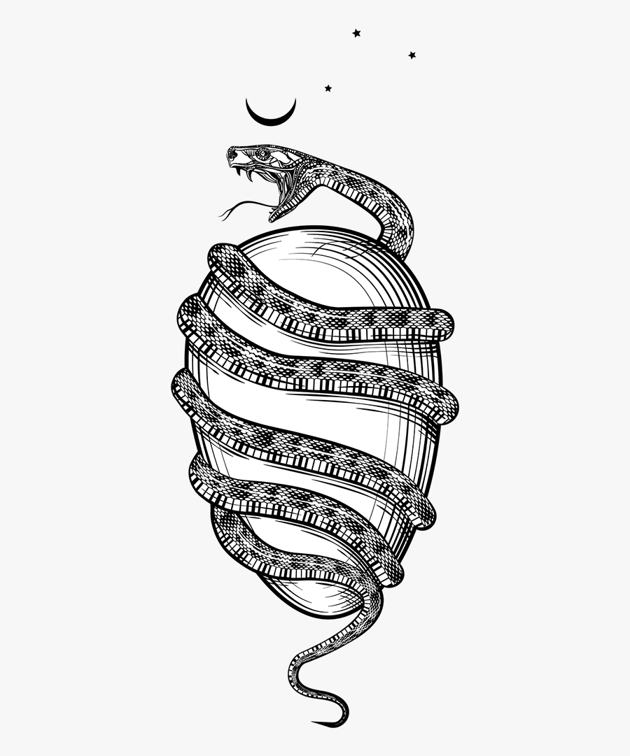 Drawing Egg Sketch - Orphic Egg, Transparent Clipart