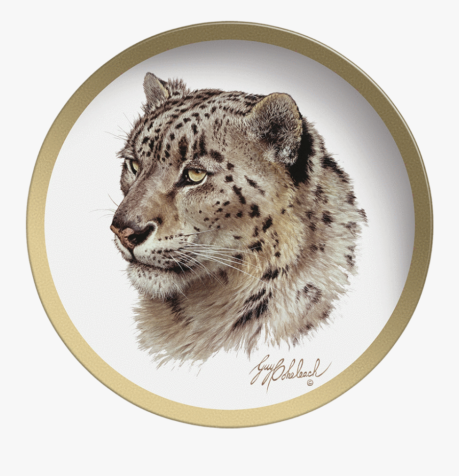 Snow Leopard Head Drawing, Transparent Clipart