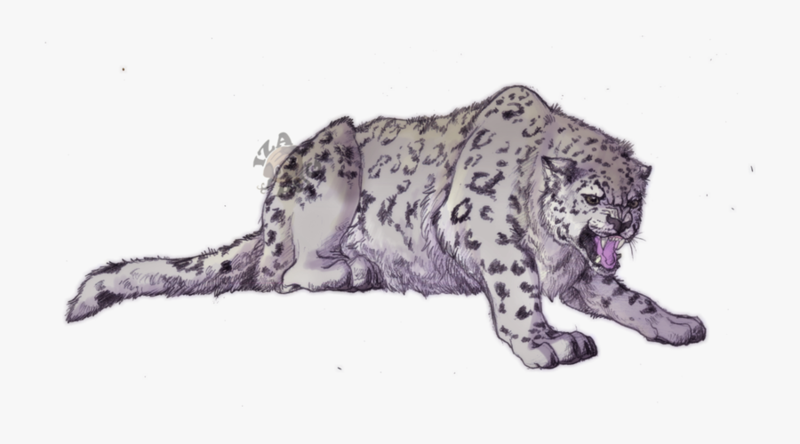 Snow Leopard Anime Drawing, Transparent Clipart