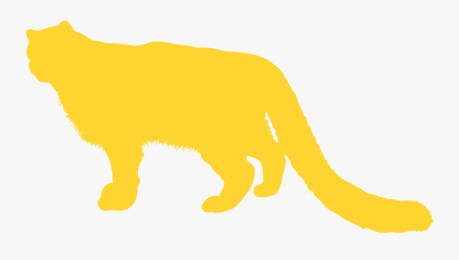 Cat, Transparent Clipart