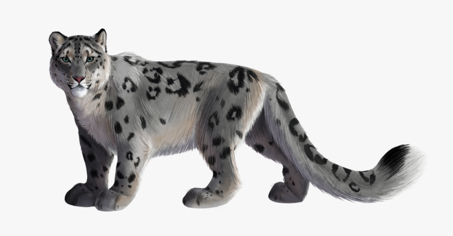 Snow Png Leopard - Snow Leopard Png, Transparent Clipart