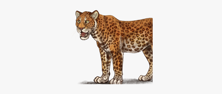 Clip Art Indochinese Leopard - Indochinese Leopard Lioden, Transparent Clipart