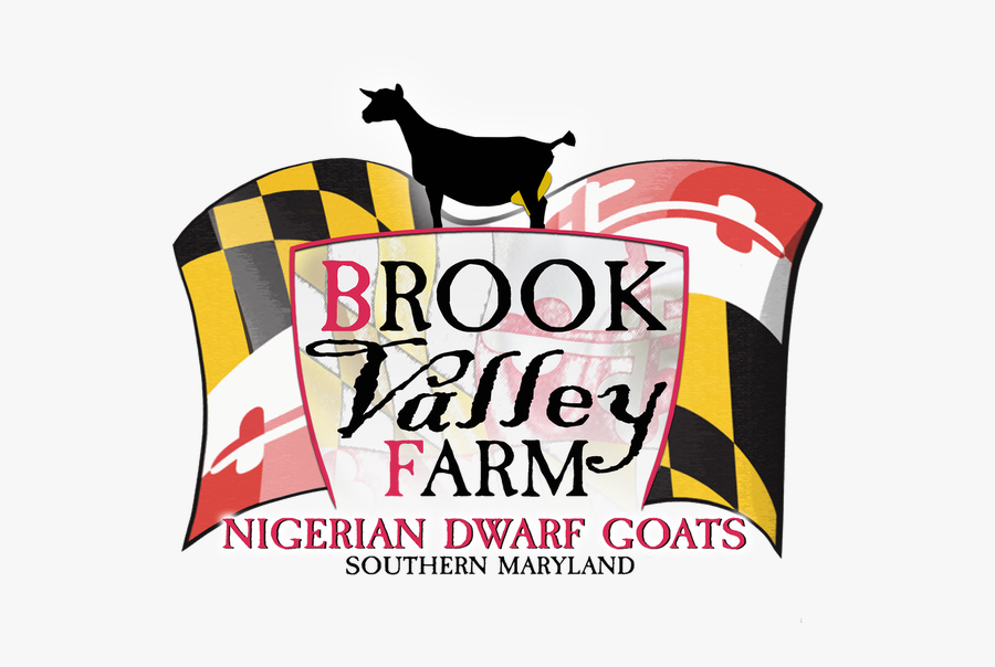 Raising Quality, Adga-registered Nigerian Dwarf Goats - Poster, Transparent Clipart