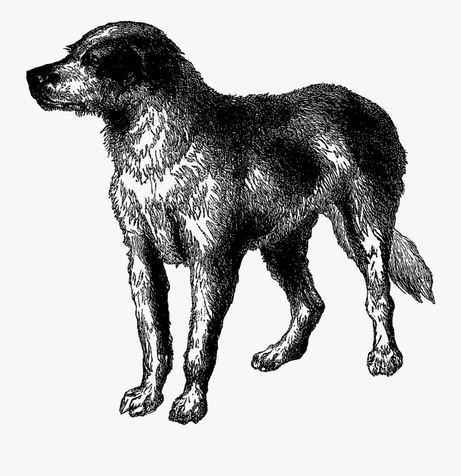 Natural Dog Clipart, Transparent Clipart