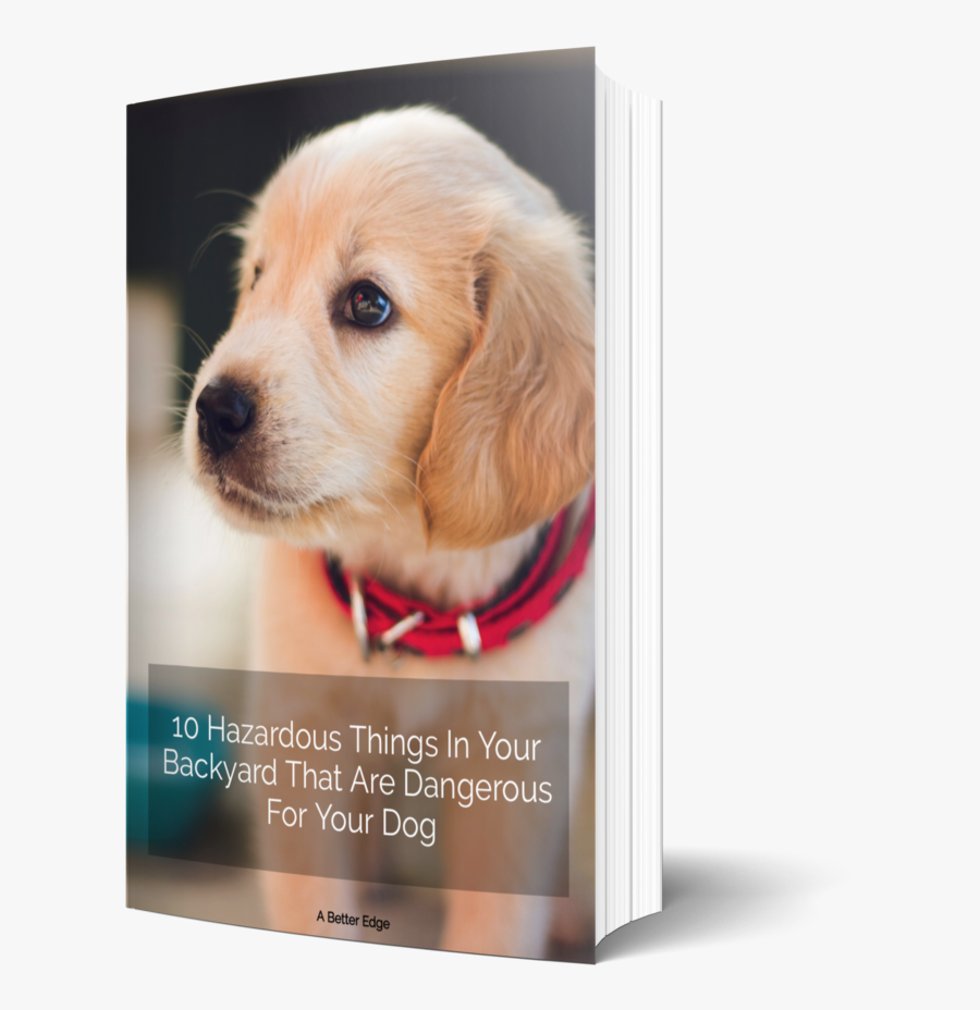 Dog, Transparent Clipart