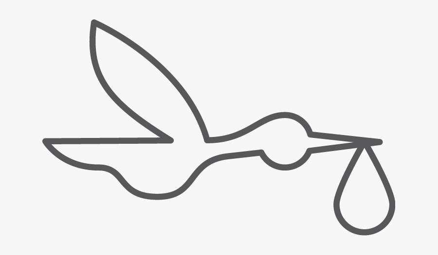 Stay Updated On What"s Happening At Count The Kicks, Transparent Clipart