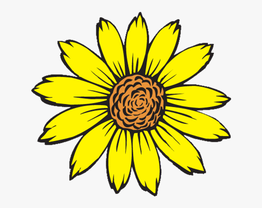 Improving The Insulation In The Walls And Windows Will - Sunflower Flower Coloring Page, Transparent Clipart