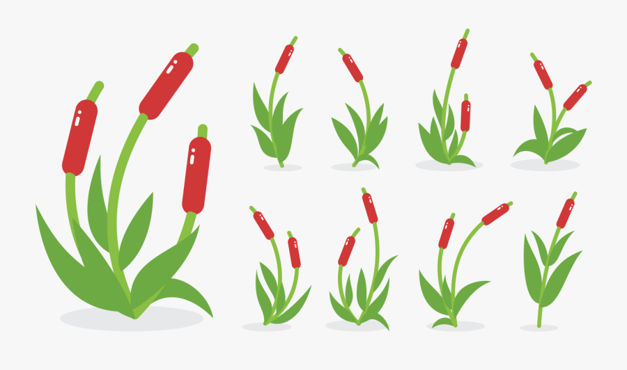Cattail Vector Graphics Swamp Wetland Aquatic Plants - Icon Tumbuhan Cabe Png, Transparent Clipart