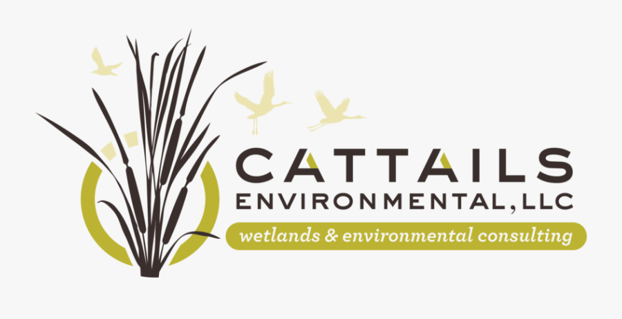 Transparent Cattail Clipart - Miller Genuine Draft, Transparent Clipart