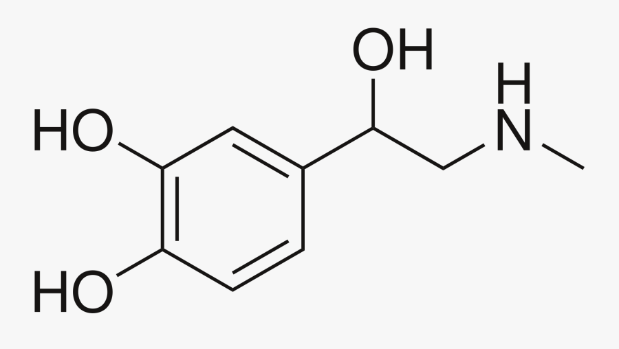 File Adrenaline Svg Wikimedia - Adrenaline Skeletal Structure, Transparent Clipart