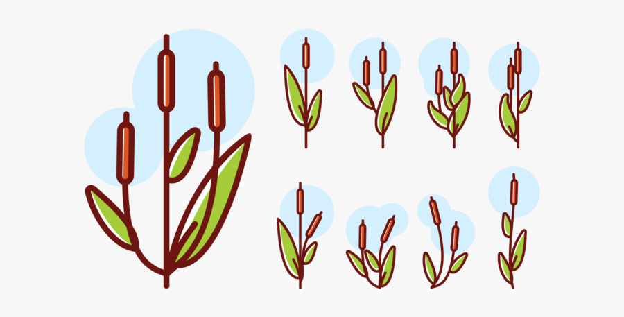 Cattails Icons Vektor - Cattails Logo, Transparent Clipart