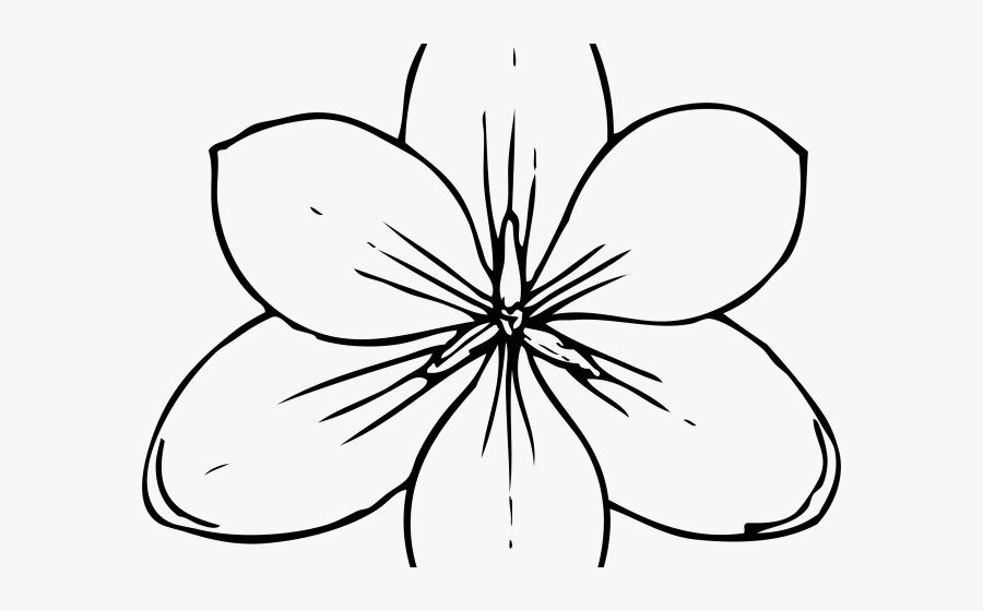 Flower Coloring Page Png, Transparent Clipart