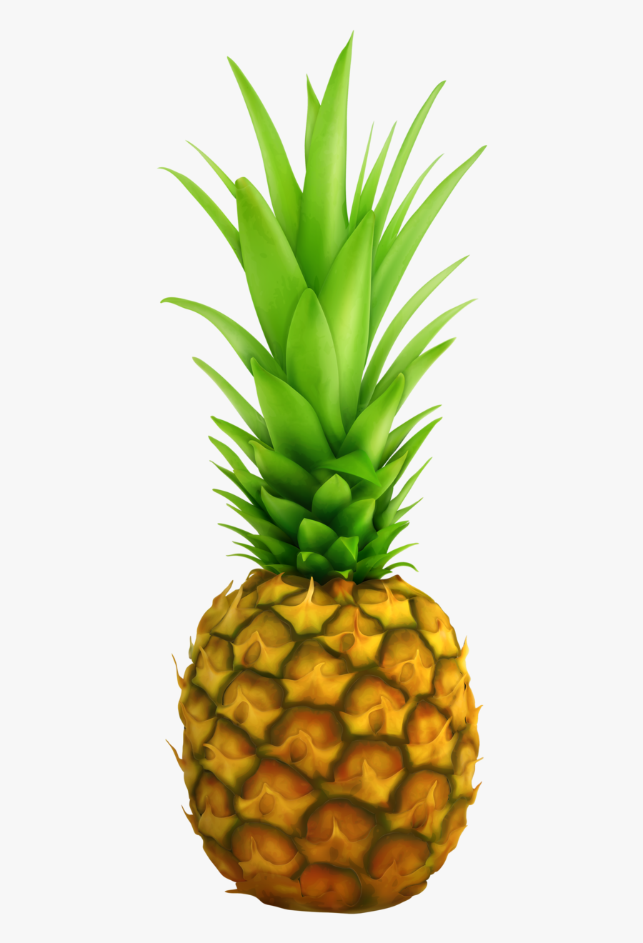Png Pinterest Clip - Pineapple Top, Transparent Clipart