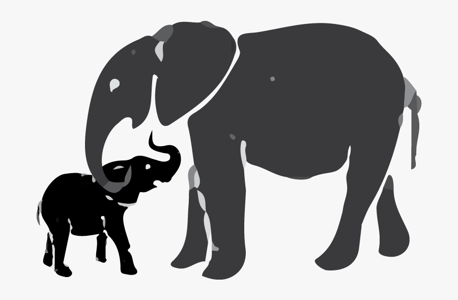 Indian Elephant, Transparent Clipart