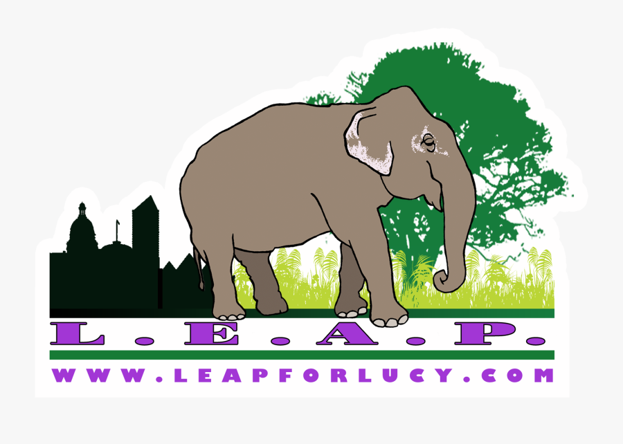 Indian Elephant, Transparent Clipart