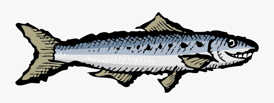 Smiling Sardine, Transparent Clipart