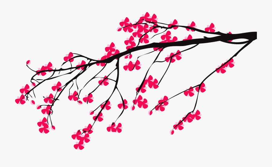 Transparent Cherry Blossom Branch Clipart - Adobe Illustrator Cherry Blossom, Transparent Clipart