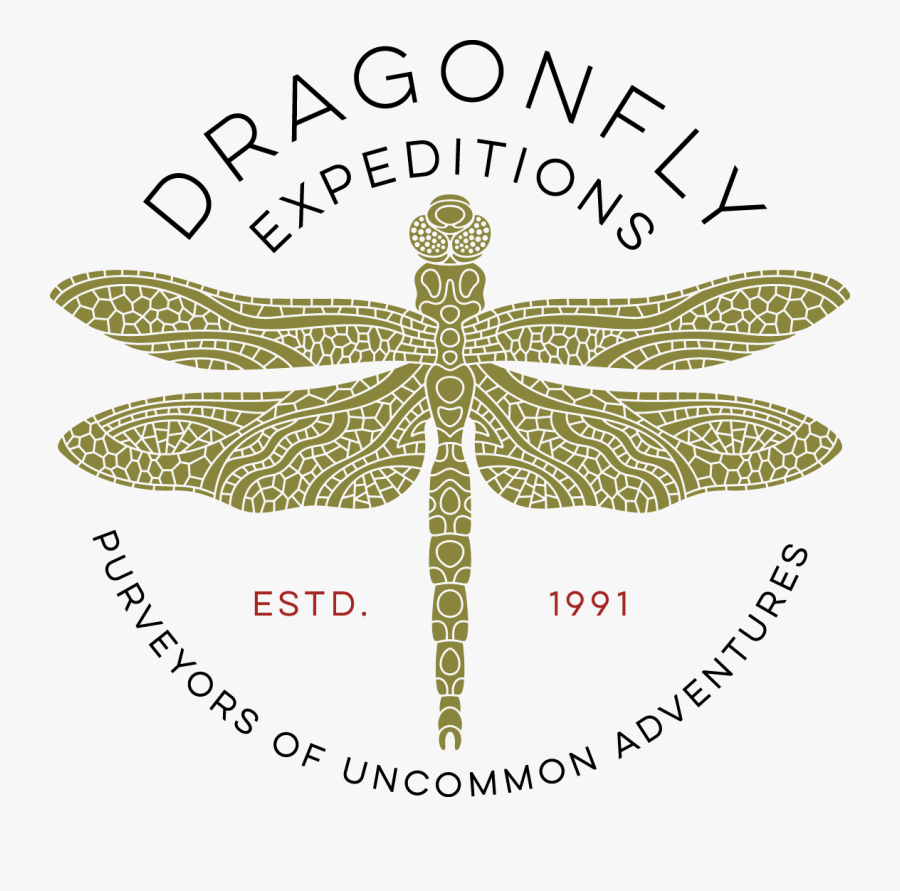 Christopher Columbus Called Cuba The “most Beautiful - Dragonfly, Transparent Clipart