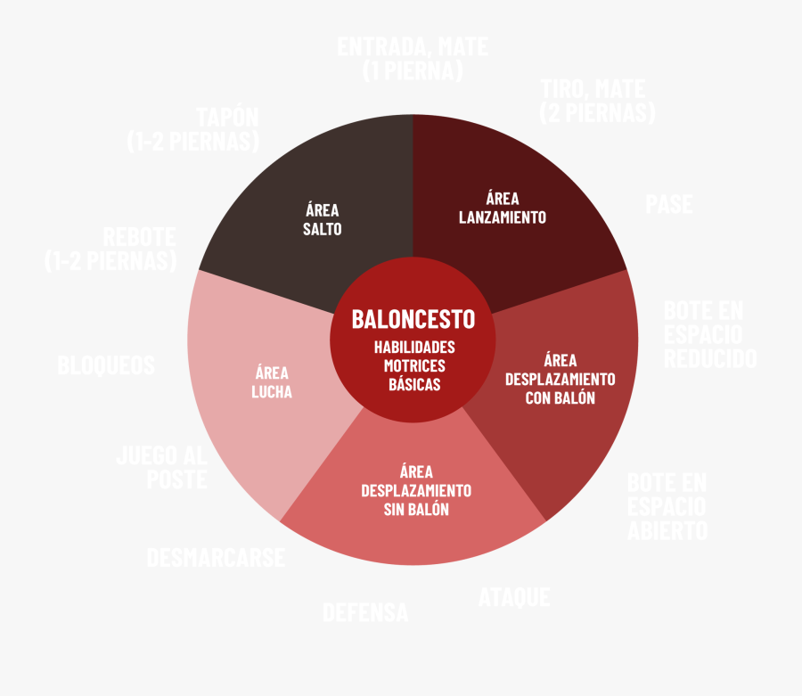 Está Es La Propuesta Del Pastel De Las Áreas Y Contenidos - Circle, Transparent Clipart